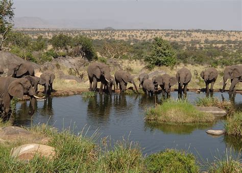 Classic Northern Tanzania Safari Audley Travel