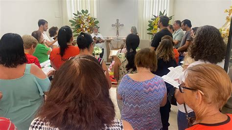 Corpo De Idosa V Tima De Ataque De Abelhas Durante Coleta De Frutas