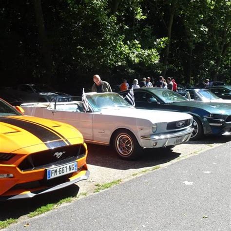 Focus Sur La Ford Mustang Léternelle étoile Américaine Absolutely Cars