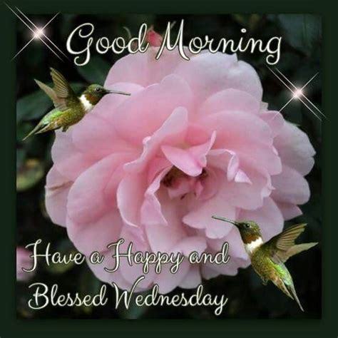 Good Morning Have A Happy And Blessed Wednesday Pictures Photos And