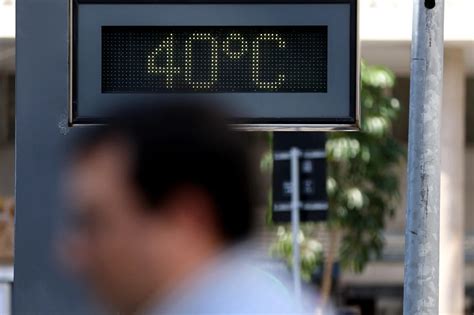 Como as ondas de calor afetam a saúde dos humanos das plantas e animais