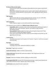 Divisions Of The Nervous System Central Vs Peripheral Somatic