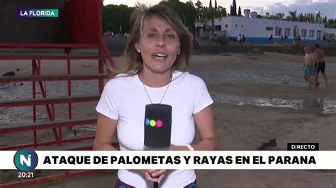 Alerta Por El Ataque De Palometas Y Rayas En El Paran Telefe Rosario