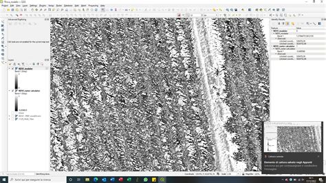 Issues Calculating Range With Qgis Raster Calculator Hot Sex Picture