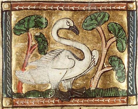 Medieval Animals – Dēor-hord: a medieval and modern bestiary