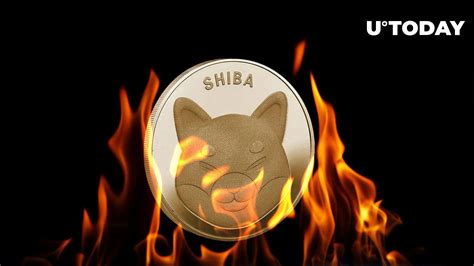 Shiba Inu Shib Burn Goes Bizarre What S Happening