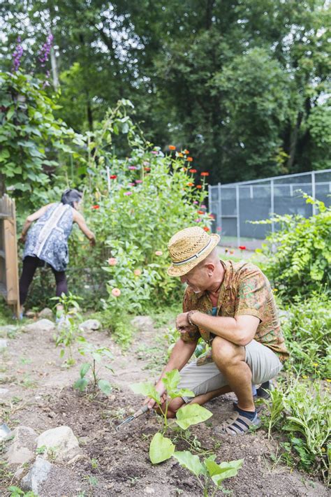 On the Grid : Brownwood Park Community Garden