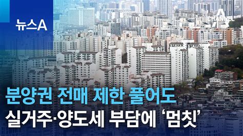 분양권 전매 제한 풀어도실거주·양도세 부담에 ‘멈칫 뉴스a Youtube