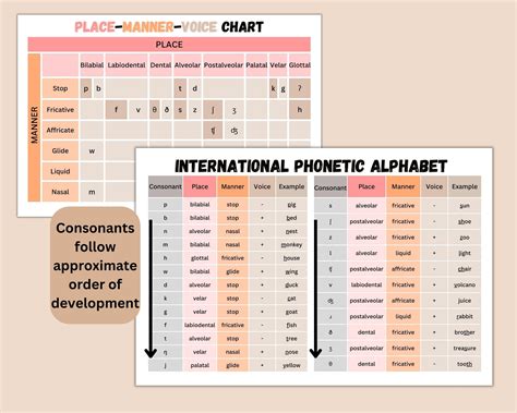 2 IPA Consonant Place-manner-voice Charts Speech Therapy Poster Room ...