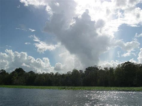 St Johns River Tour Pictures