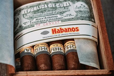 Lizenzfreie Habanos Fotos Piqsels