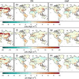 The Spatial Distributions Of Xp In Plant And Soil Carbon C Stocks