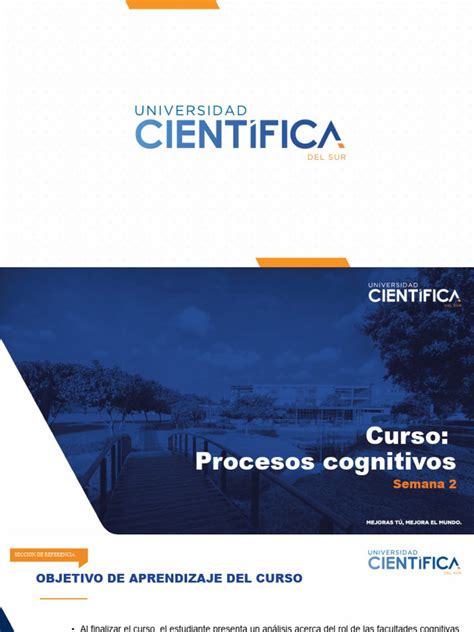 Clase 2 Pdf Psicología Cognitiva Sicología