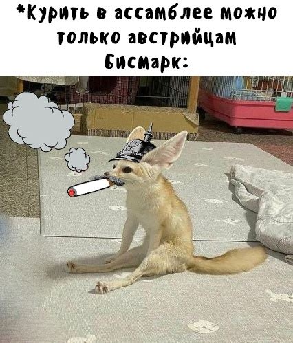 Мудреныч 2024 | ВКонтакте
