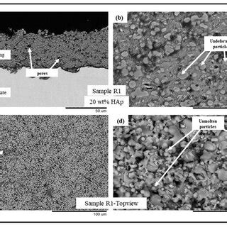 BSE SEM Images Of Sample R1 HAp A Cross Sectional View At 1500