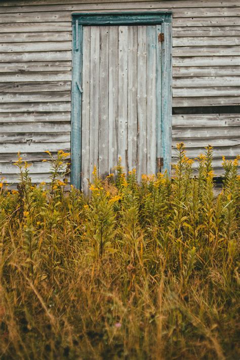 Frames on Wooden Wall · Free Stock Photo