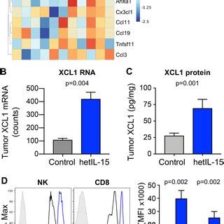 Hetil Enhances The Production Of Xcl By Tumor Resident Cd T And