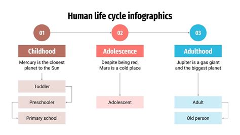 Human Life Cycle Infographics | Google Slides & PowerPoint