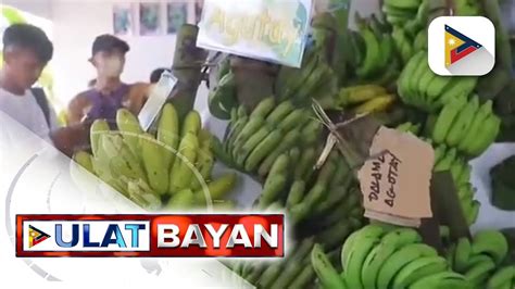 Ibat Ibang Klase Ng Saging Ibinida Sa 36th Sagingan Festival Sa Tubod