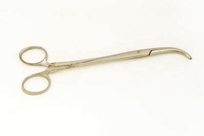 Curved Artery Forceps Faculty Of Medicine Dentistry And Health