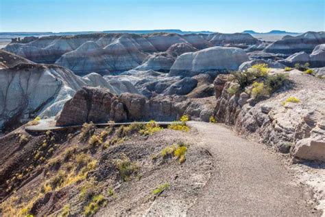 Petrified Forest National Park Self Guided Audio Tour Getyourguide