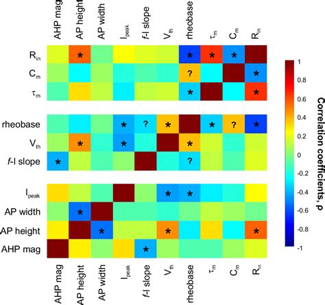 Figure 1 from Heterogeneity of membrane properties in sympathetic ...