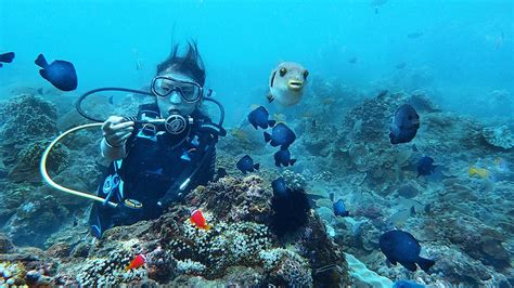 南台灣暖冬旅遊這樣玩！漁光島 Sup、小琉球環島、墾丁後壁湖潛水 上報 生活