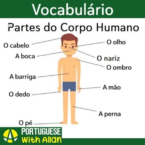 Portuguese With Allans Instagram Post Algumas Partes Do Corpo