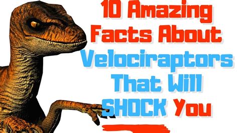 Dinosaurs Velociraptor Facts