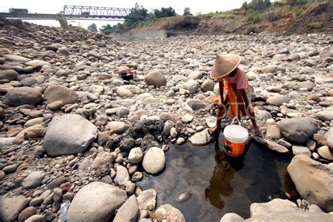 Kekeringan Di Bogor Antara Foto