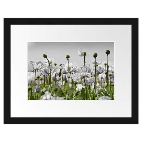 Gerahmtes Poster Blumenwiese Mohnblumen East Urban Home Größe 30 cm H