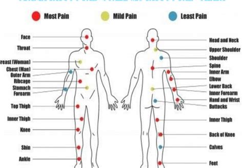 The tattoo pain scale varies from one person to another. The level of ...