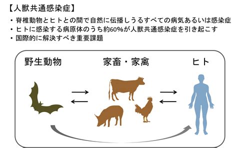 渡辺研究室 研究室 大阪大学微生物病研究所 Rimd 文部科学省共同利用・共同研究拠点