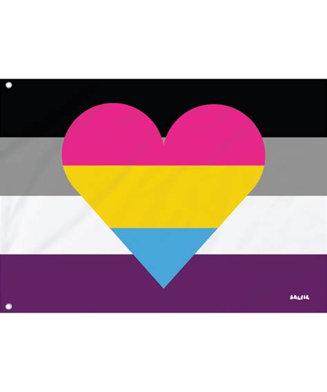 The Panromantic Asexual Flag Galfie