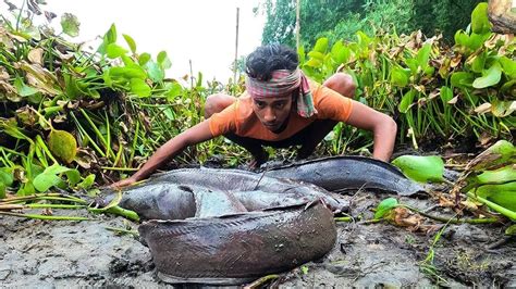 Traditional Village Fishing Amazing Catches Big Fish By Hand In Pond