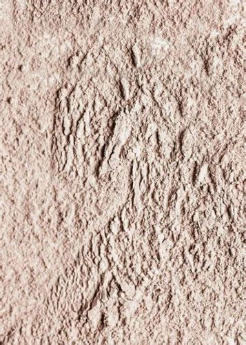 Moroccan Nude Clay Powder At Kg Razapur Khurd New Delhi ID