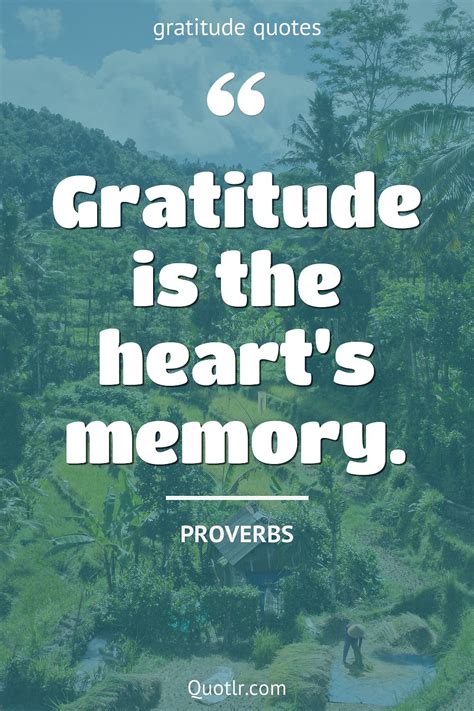 Tremendous Forever Grateful Quotes That Will Unlock Your True