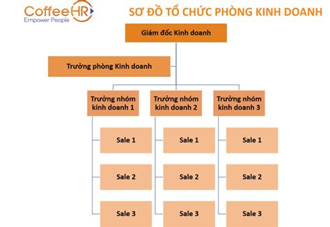 13 Mẫu sơ đồ tổ chức công ty phổ biến mới nhất 2023 Tải về Networks