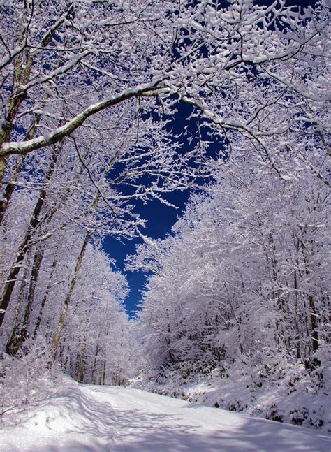 46 best Snow in North Carolina Mountains images on Pinterest | North ...