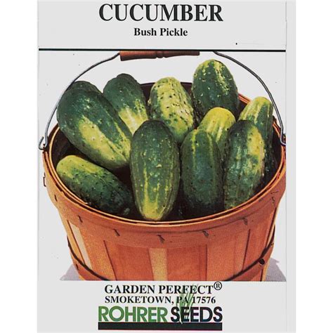 Rohrer Bush Pickle Cucumber Seed Pack 9903600 Goods Store Online