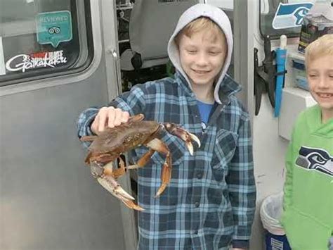 Crabbing In The Puget Sound Edmonds Seattle Everett Crabbing Trips