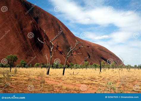 Uluru Editorial Image Image Of Ayres Trees Tree Rock 52567925