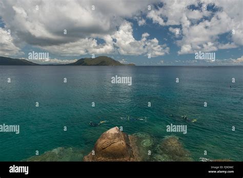 Snorkelers Swimming Around The Beautiful Nudey Beach Of Fitzroy Island