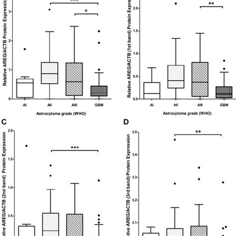 Tukey Boxplot Of Areg Protein Level In In Who Grade I Iv Astrocytomas