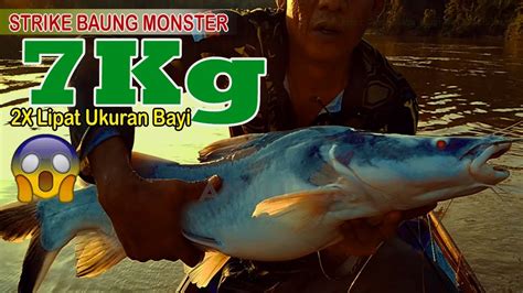 Rekor Baru Mancing Baung Monster Muara Sako Mancing Ikan Besar