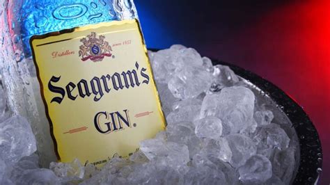 8 Best Seagrams Gin Cocktails to Try