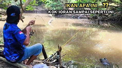 Astaga Teryata Seramai Ini Mancing Di Sungai Umpan Jangkrik Youtube