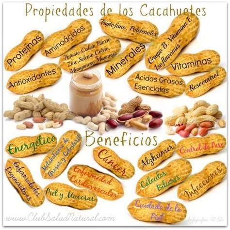 Propiedades De Los Cacahuetes Alimentos Saludables Alimentos