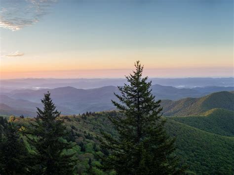 Go Wild 4 North Carolina National Forests To Explore