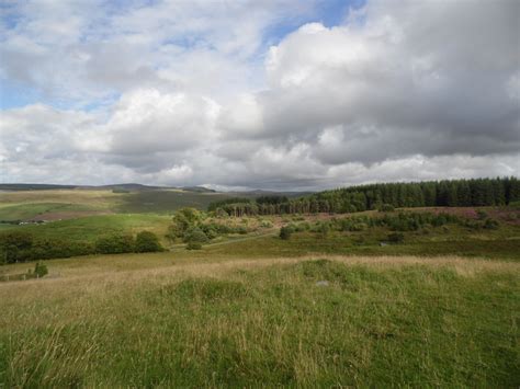 Free Images Landscape Tree Nature Grass Outdoor Horizon Marsh